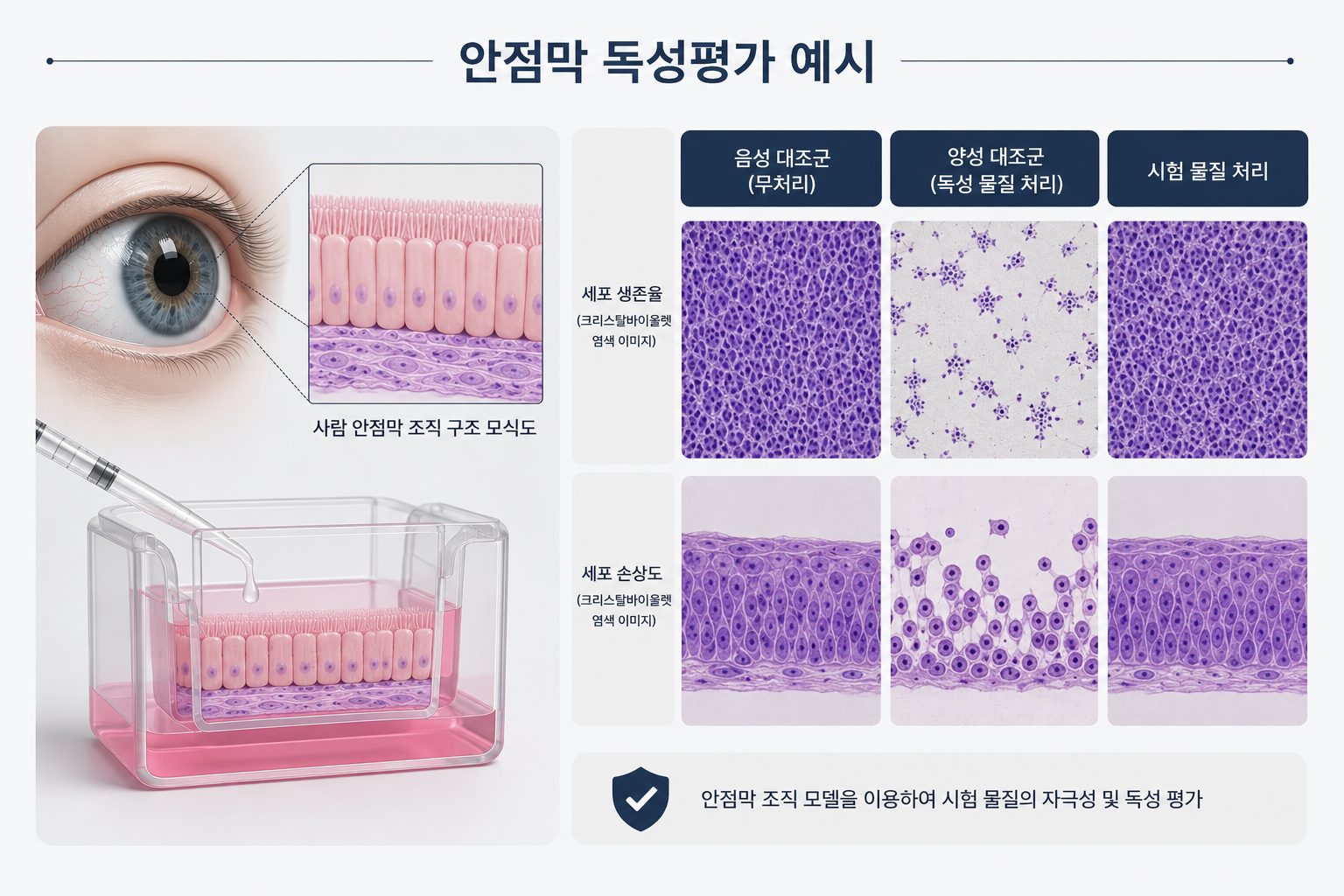 Ocular Mucosa Toxicity